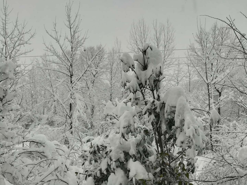 【尊龙凯时·(中国)人生就是搏!风尚】传递正能量，向风雪里辛勤工作的最美尊龙凯时·(中国)人生就是搏!人致敬！